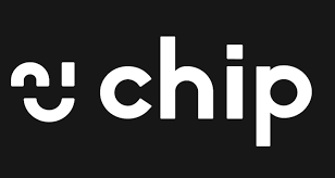 Chip