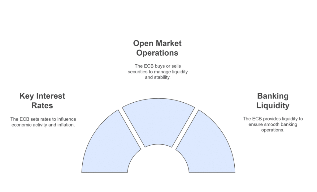 The Role of ECB